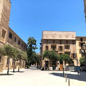 Damunt Palma