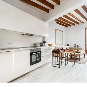 Modern Palma