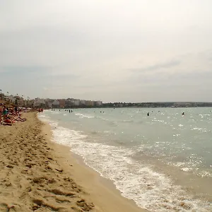 Aya Palma